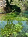 DSC00132